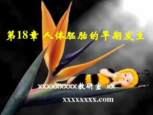 组织与胚胎学第18章 人体胚胎的早期发生