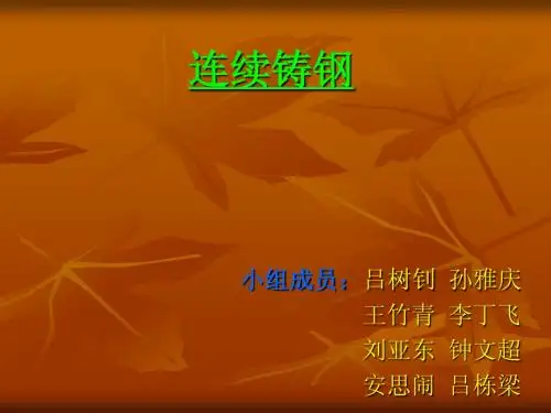 连续铸钢