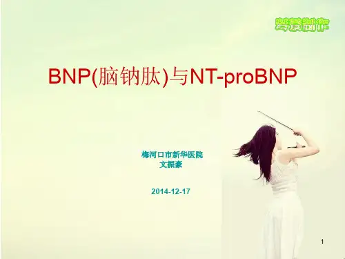 脑钠肽(BNP)PPT参考幻灯片