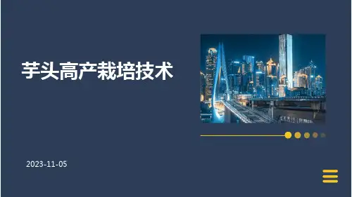 芋头高产栽培技术