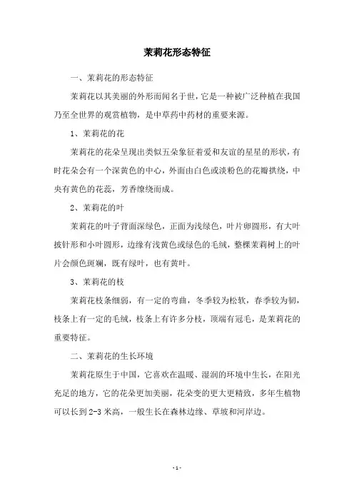 茉莉花形态特征
