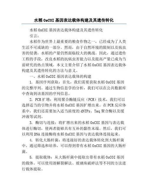 水稻OsCOI基因表达载体构建及其遗传转化