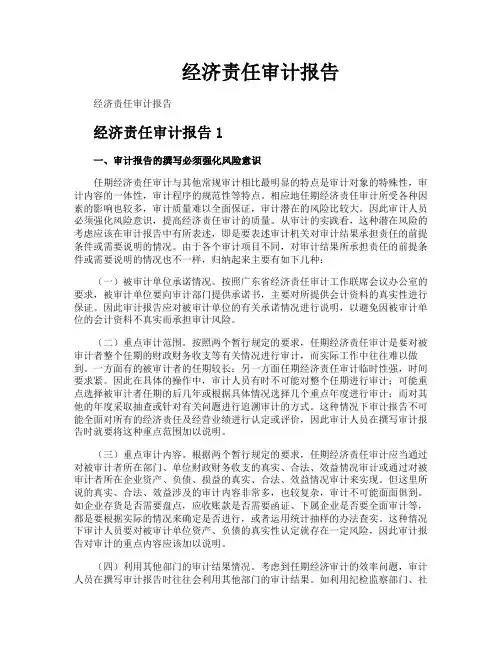经济责任审计报告