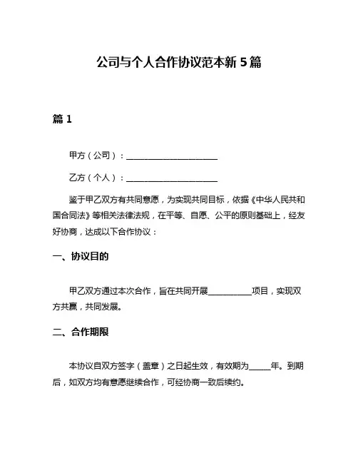 公司与个人合作协议范本新5篇