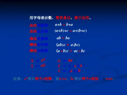 用字母表示数
