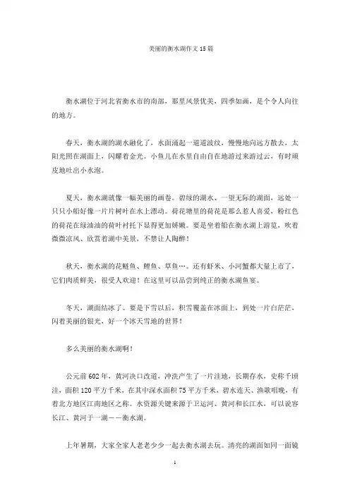 美丽的衡水湖作文精选