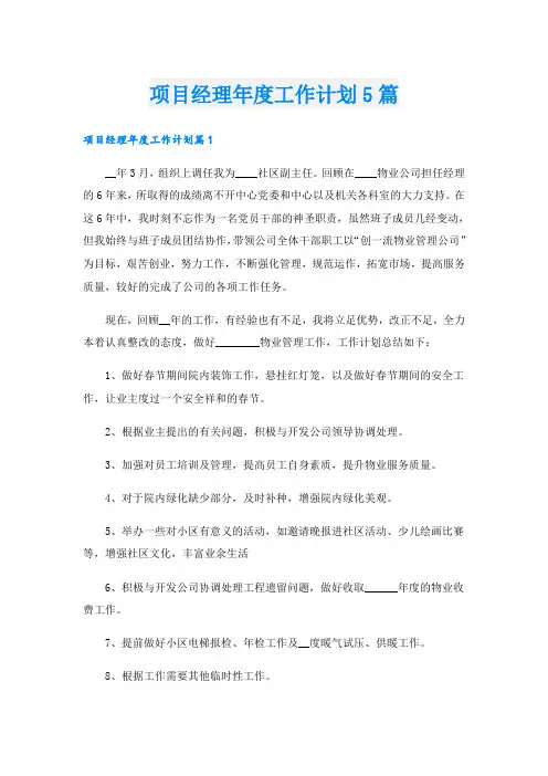 项目经理年度工作计划5篇