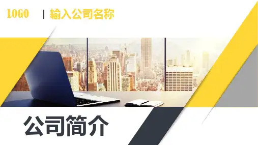 美的公司简介ppt