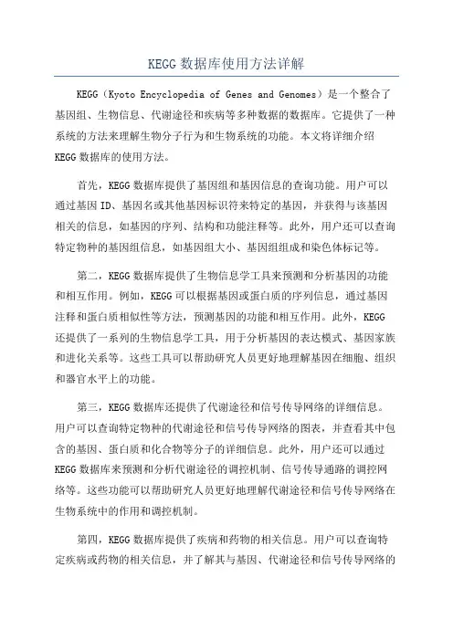 KEGG数据库使用方法详解
