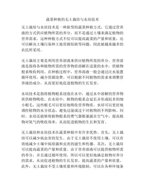 蔬菜种植的无土栽培与水培技术