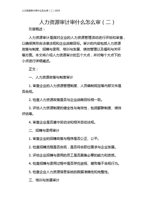 人力资源审计审什么怎么审(二)2024