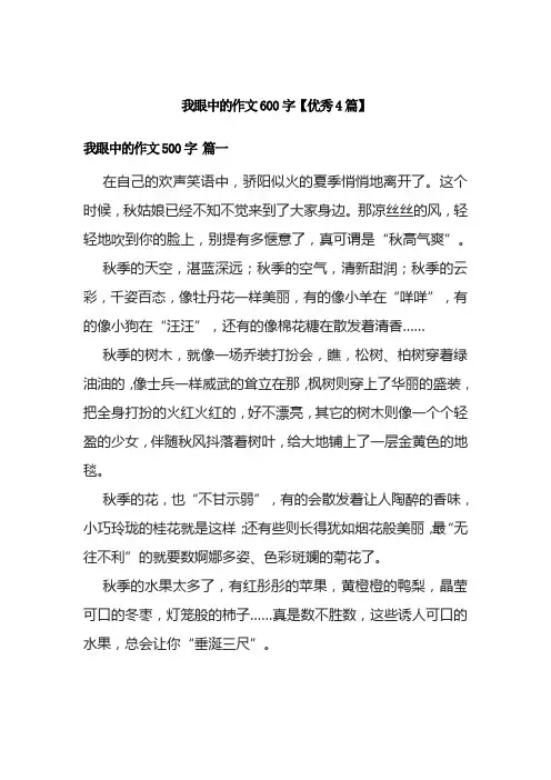 我眼中的作文600字【优秀4篇】
