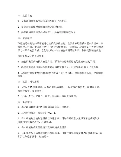 细胞凝集反应实验报告