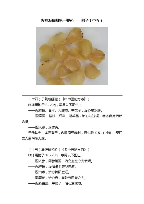 火神派扶阳第一要药——附子（中五）