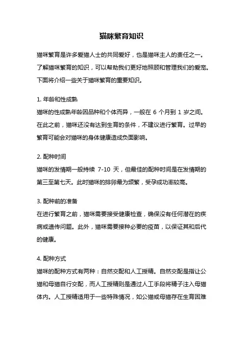 猫咪繁育知识