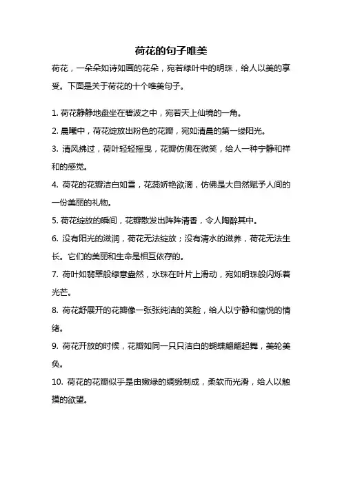 荷花的句子唯美