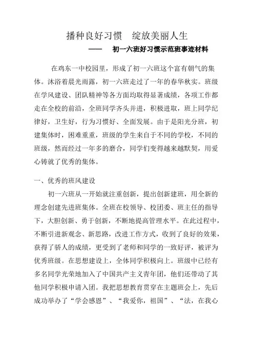 播种良好习惯,绽放美丽人生好习惯示范班材料