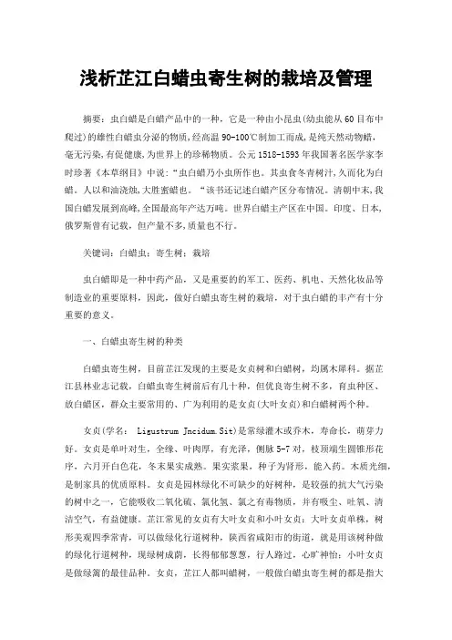 浅析芷江白蜡虫寄生树的栽培及管理