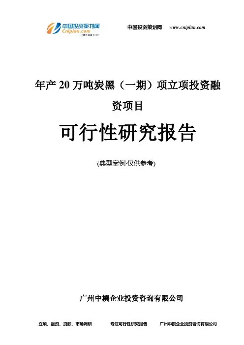 年产20万吨炭黑(一期)项融资投资立项项目可行性研究报告(非常详细)