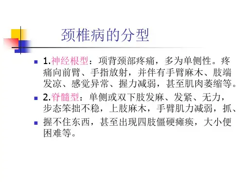 颈性头晕眩晕该淘汰的诊断概念副本1课件