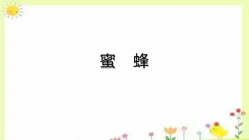 14.《蜜蜂》课件(共23张PPT).ppt