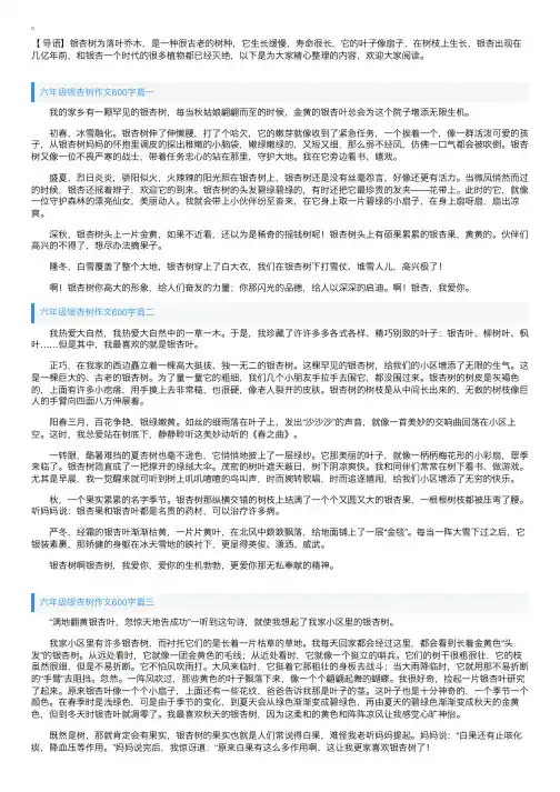 六年级银杏树作文600字五篇