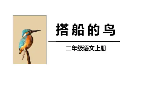《搭船的鸟》ppt课件