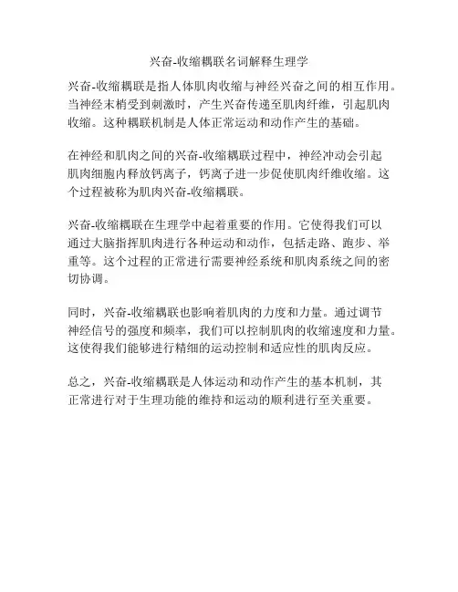 兴奋-收缩耦联名词解释生理学