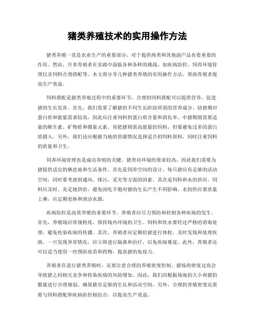 猪类养殖技术的实用操作方法