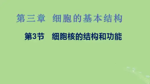 高中生物3-3细胞核的结构和功能新人教版必修1