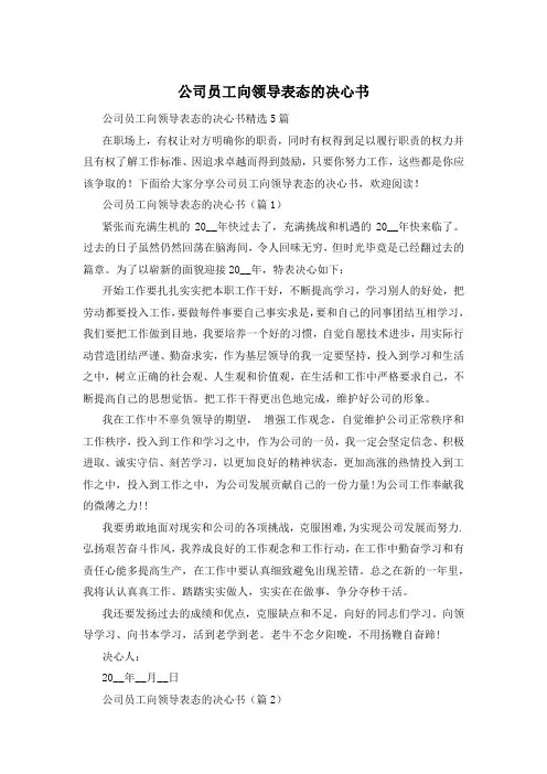 公司员工向领导表态的决心书