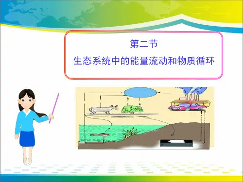 《生态系统中的能量流动和物质循环》PPT【完美版课件】