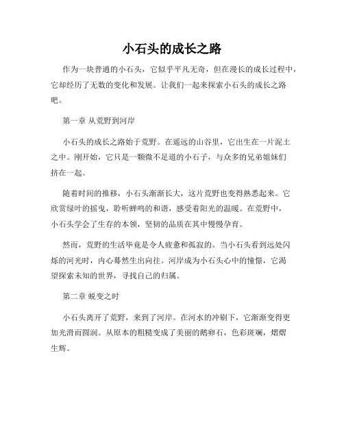 小石头的成长之路