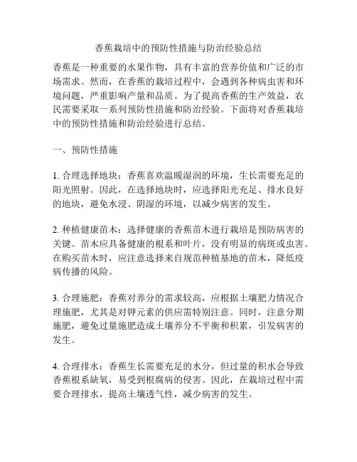 香蕉栽培中的预防性措施与防治经验总结