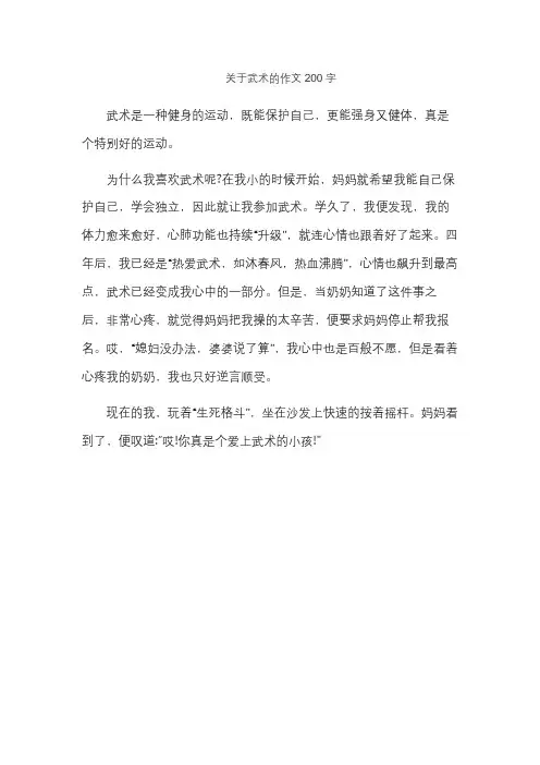 关于武术的作文200字