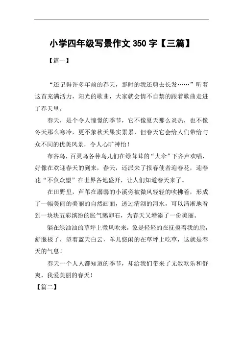 小学四年级写景作文350字【三篇】