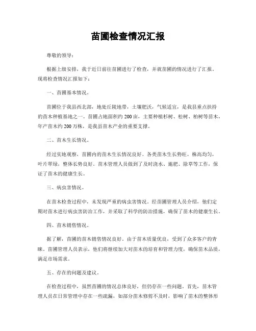 苗圃检查情况汇报
