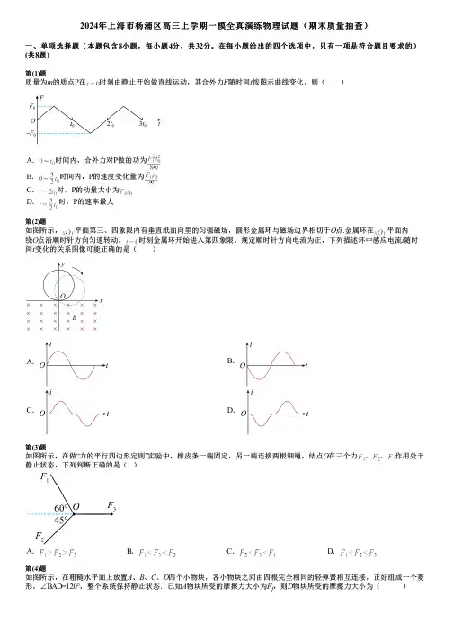 2024年上海市杨浦区高三上学期一模全真演练物理试题(期末质量抽查)