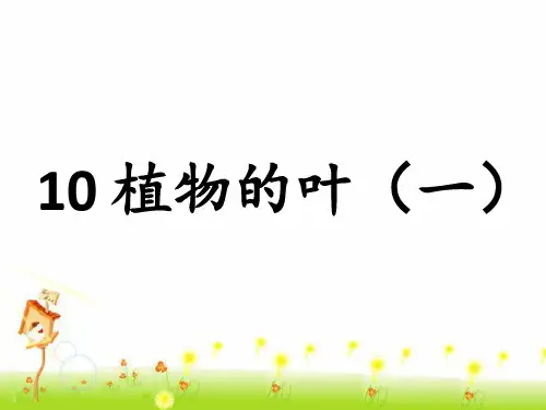《10-植物的叶(一)》1PPT课件