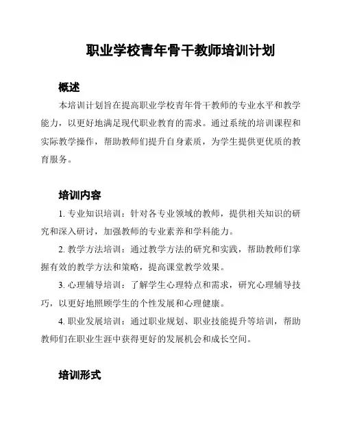 职业学校青年骨干教师培训计划