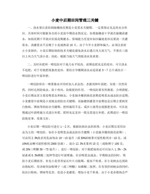 小麦中后期田间管理三关键