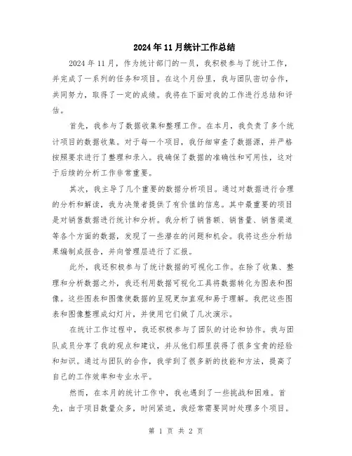 2024年11月统计工作总结