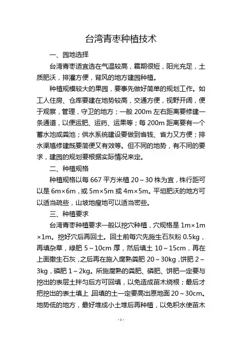 台湾青枣种植技术