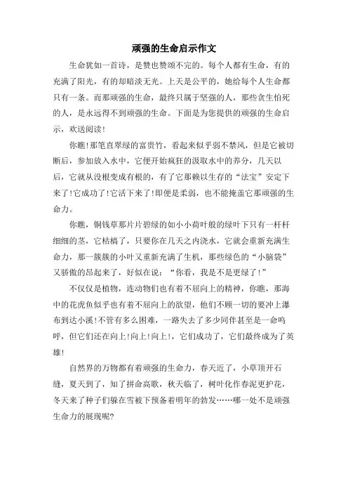 顽强的生命启示作文