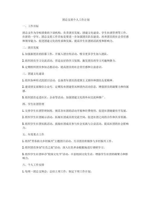 团总支的个人工作计划