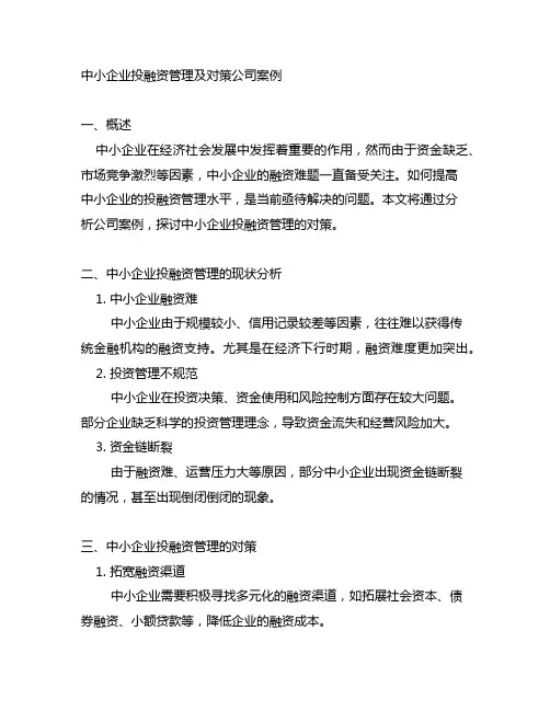 中小企业投融资管理及对策公司案例