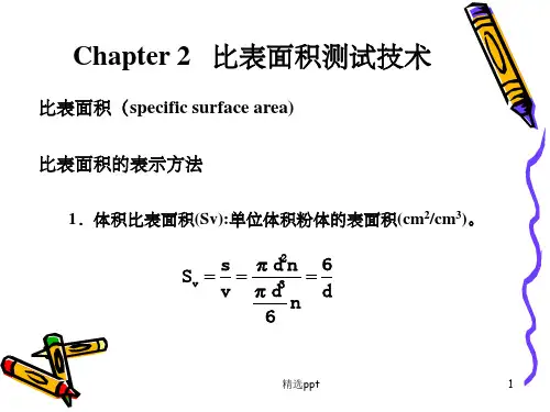 《比表面积测试》PPT课件