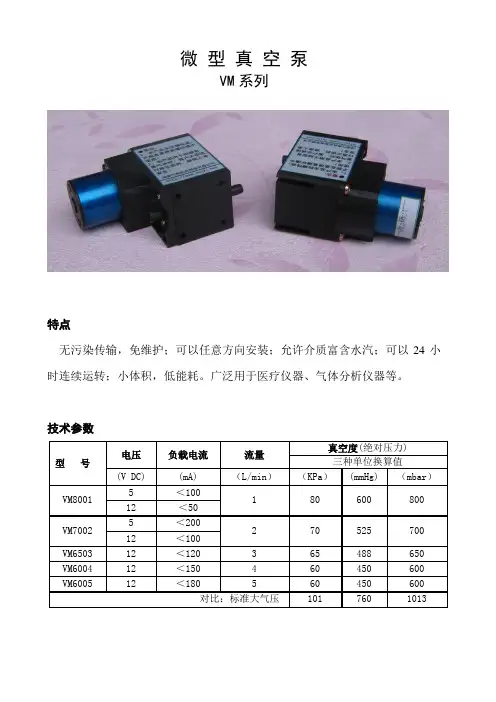 VM微型真空泵说明.doc