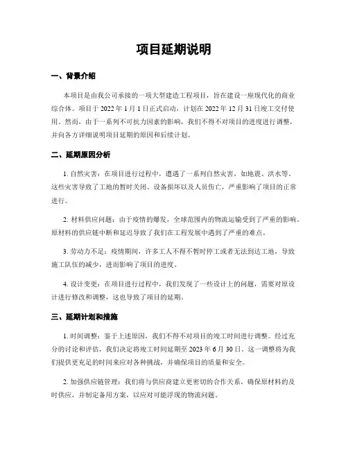 项目延期说明