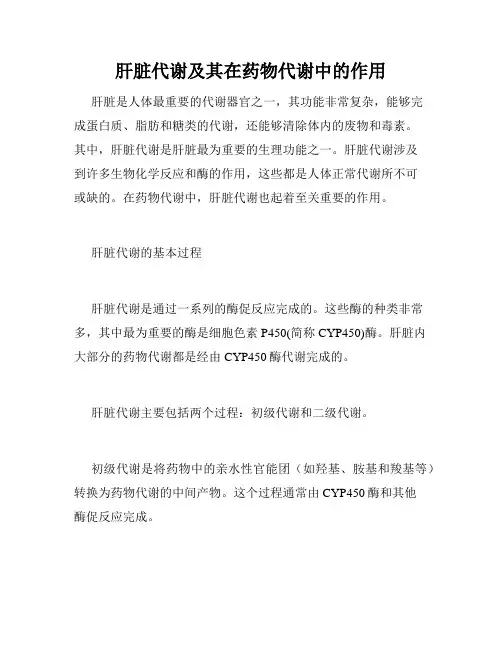 肝脏代谢及其在药物代谢中的作用